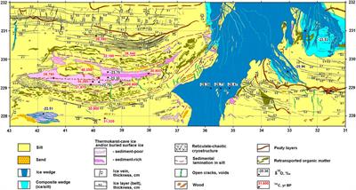 Yedoma Cryostratigraphy of Recently Excavated Sections of the CRREL Permafrost Tunnel Near Fairbanks, Alaska
